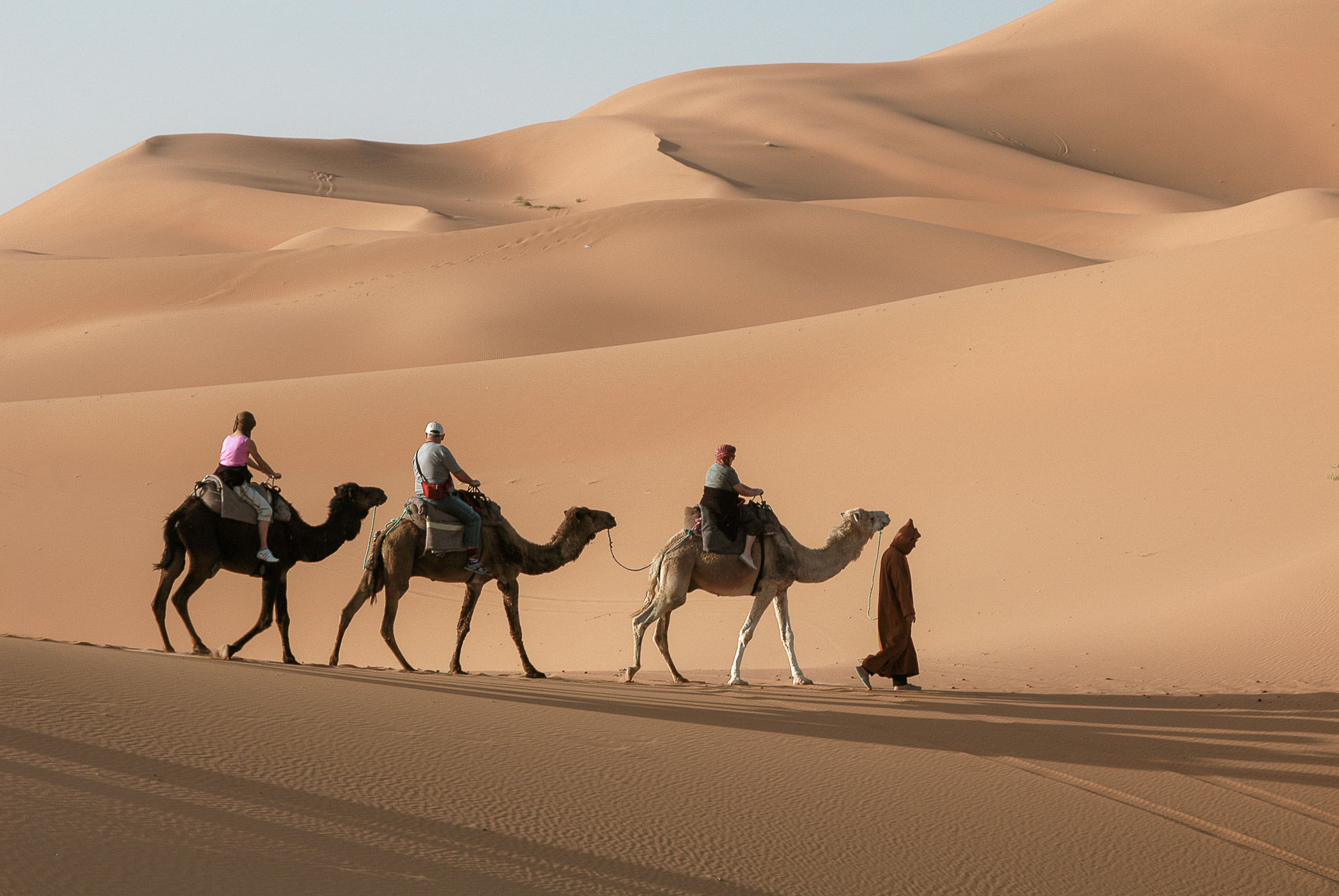 Imagine riding on the back of a camel